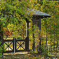 At Woodland's Edge
