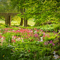 In Heaven's Dell