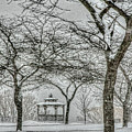 Blow, Blow, Thou Winter Wind