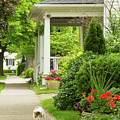 On the Garden Walk