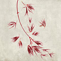Spring Dance - II